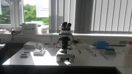 Foto von Dragon-IVF International