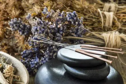 Ramune Fischer Akupunktur und Chinesische Kräuter TCM Berlin Kinderwunsch